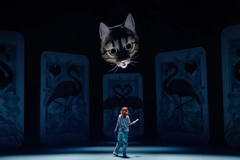 katt och alice