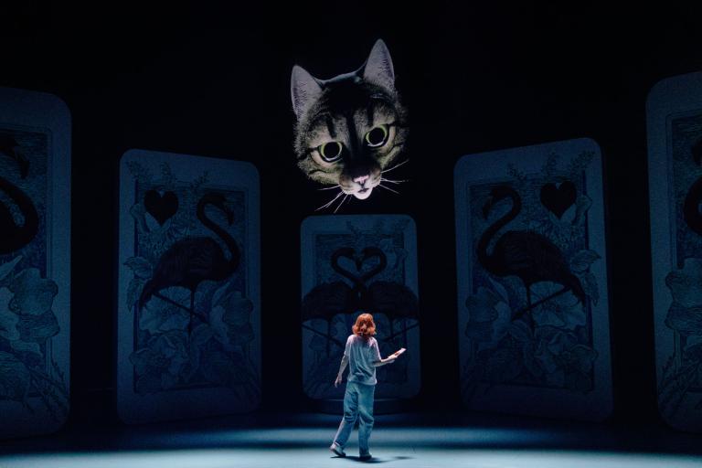 katt och alice