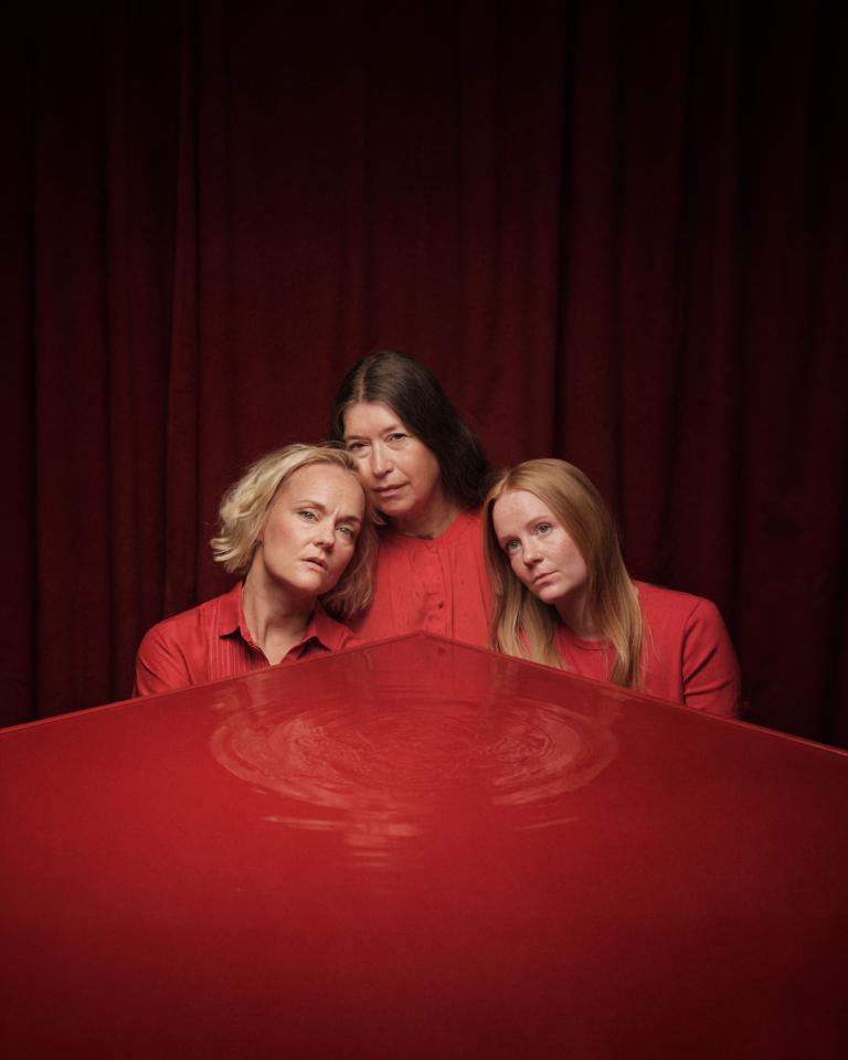 Århundradets kärleksaga