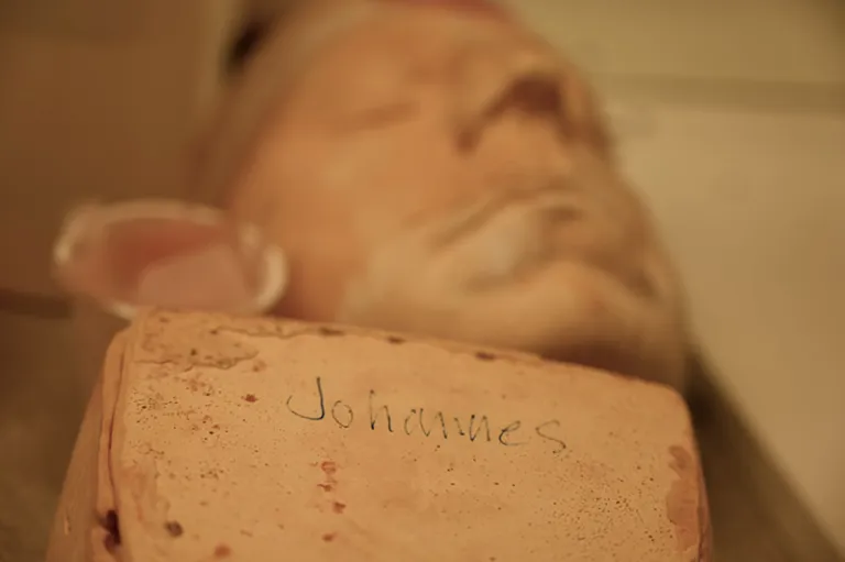 En gipsavgjutning av skådespelaren Johannes Wanselows ansikte