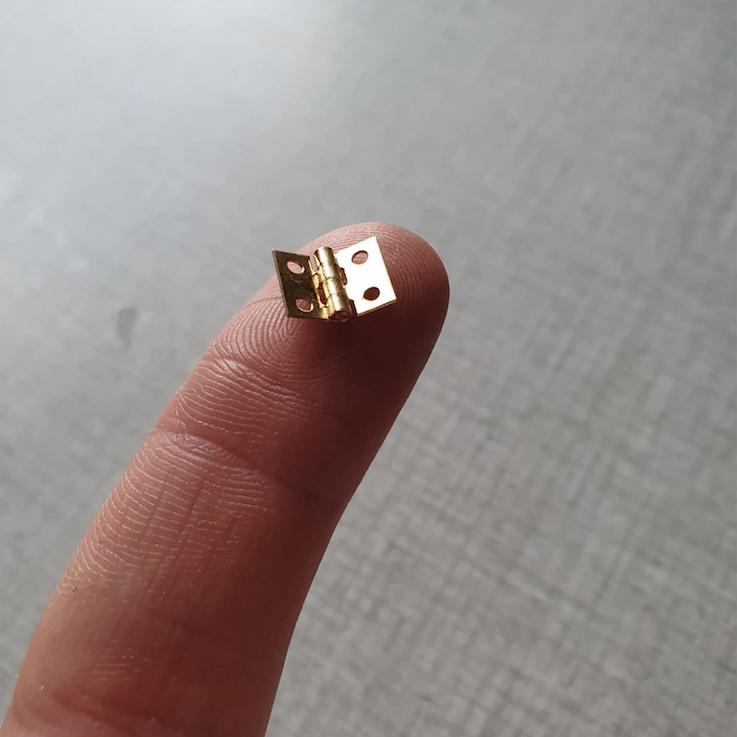Foto: Jenny Baumgartner Ett jättelitet gångjärn ligger på en fingertopp