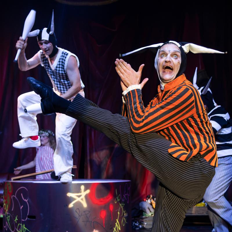 The Extraordinary History of Circus