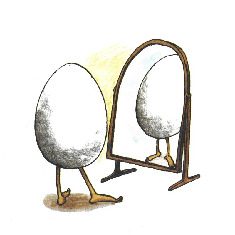 Illustration av ägget