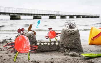 Ritade krabbor på en riktig sandstrand vid ett sandslott